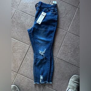 YMI Women's Blue Jeans